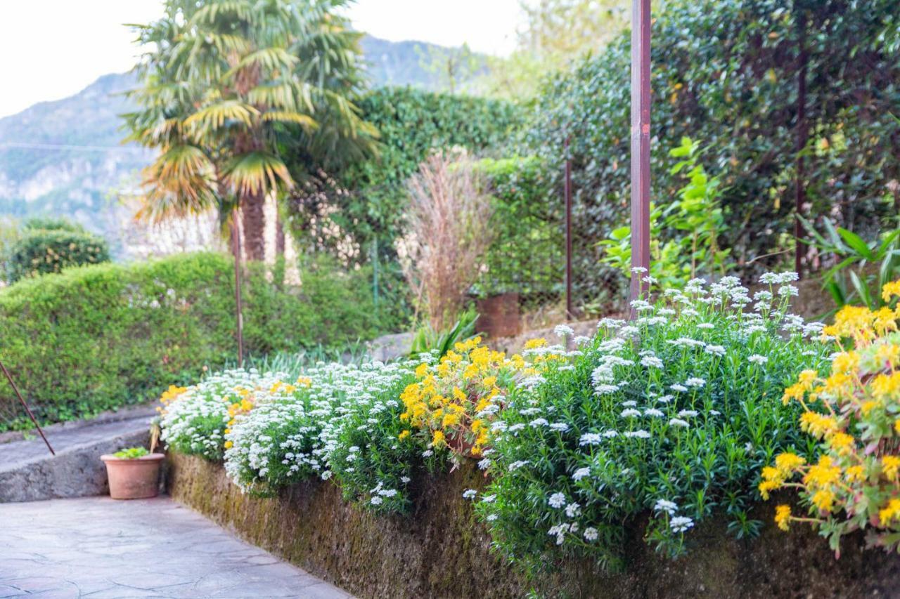 Villa Casa Giulia Lierna Exterior foto